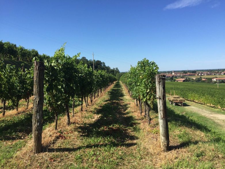 Scoprire i territori